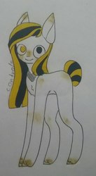 Size: 422x768 | Tagged: safe, artist:cactus-control, oc, oc only, oc:nomi rengoo, chest fluff, heterochromia, looking at you, smiling, solo, traditional art