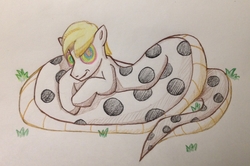 Size: 2751x1829 | Tagged: safe, artist:glitterbombpony, oc, oc only, oc:mesme rize, lamia, original species, snake, coils, grass, hypnosis, kaa eyes, male, smiling, solo, traditional art