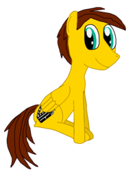 Size: 2160x2736 | Tagged: safe, artist:sb1991, derpibooru exclusive, oc, oc only, oc:film reel, pegasus, pony, 2018 community collab, derpibooru community collaboration, high res, looking at you, simple background, sitting, transparent background