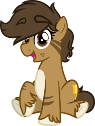 Size: 909x1200 | Tagged: safe, artist:binkyt11, derpibooru exclusive, oc, oc only, oc:binky, earth pony, pony, .svg available, female, freckles, mare, simple background, sitting, solo, svg, transparent background, unshorn fetlocks, vector
