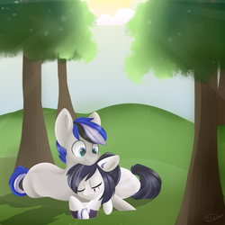 Size: 3000x3000 | Tagged: safe, artist:beashay, oc, oc only, oc:dream, oc:koi, earth pony, pony, crepuscular rays, female, high res, male, mare, sleeping, stallion, sun, tree