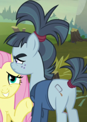 Size: 514x718 | Tagged: safe, screencap, fluttershy, hacksaw mccolt, earth pony, pegasus, pony, g4, the hooffields and mccolts, butt, cropped, female, mare, mccolt family, plot