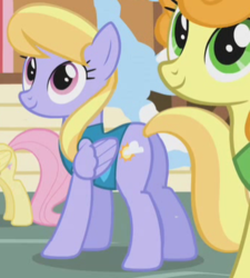 Size: 341x379 | Tagged: safe, screencap, carrot top, cloud kicker, fluttershy, golden harvest, pony, g4, winter wrap up, butt, cloud booty, cropped, plot, ponyville, smiling, solo focus