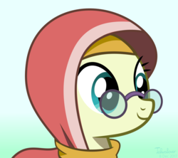 Size: 1000x886 | Tagged: safe, artist:tehwatever, desert flower, earth pony, pony, daring done?, g4, bust, cute, female, glasses, green background, hijab, mare, meganekko, portrait, simple background, solo, somnambula resident