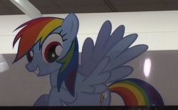 Size: 2330x1437 | Tagged: safe, rainbow dash, g4, irl, photo, solo, stock vector, target (store)