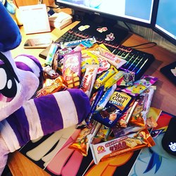 Size: 2048x2048 | Tagged: safe, artist:epicrainbowcrafts, twilight sparkle, g4, candy, clothes, computer, food, high res, irl, photo, plushie, socks, striped socks, sweets