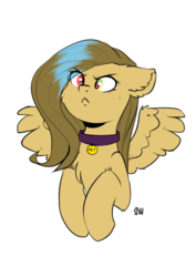Size: 1481x2092 | Tagged: safe, artist:sugarstar, oc, oc only, pegasus, pony, bust, collar, crossed hooves, female, head, indignant, looking at you, mare, simple background, solo, transparent background, wings, ych result