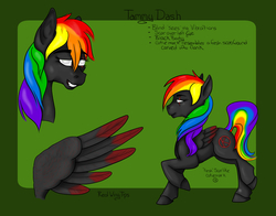 Size: 1200x943 | Tagged: safe, artist:littlewolfstudios, oc, oc only, oc:tammy dash, oc:tammydash, pegasus, pony, black, blind, female, mare, rainbow, reference sheet, wings