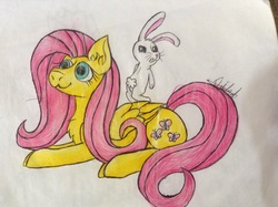 Size: 2592x1936 | Tagged: safe, artist:deidad01, angel bunny, fluttershy, pony, g4, female, male, mare, prone, traditional art