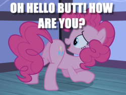 Size: 802x606 | Tagged: safe, edit, edited screencap, screencap, pinkie pie, baby cakes, g4, butt, caption, image macro, meme, pinkie being pinkie, plot, question, talking to butt