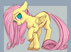 Size: 956x701 | Tagged: safe, artist:deeriojim, artist:yoditax, fluttershy, pegasus, pony, g4, blushing, chest fluff, colored, colored sketch, female, floppy ears, fluffy, folded wings, head tilt, looking at you, looking sideways, mare, missing cutie mark, no pupils, raised hoof, simple background, smiling, solo, wings