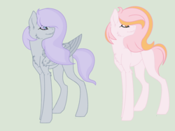 Size: 2992x2240 | Tagged: safe, artist:rose-moonlightowo, oc, oc only, earth pony, pegasus, pony, base used, female, high res, mare, offspring, parent:big macintosh, parent:cheerilee, parent:double diamond, parent:princess luna, parents:cheerimac, parents:lunadiamond, simple background