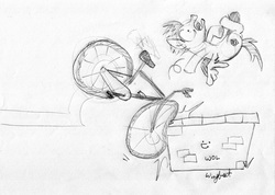 Size: 1500x1067 | Tagged: safe, artist:wingbeatpony, flash sentry, g4, bicycle, crash, grayscale, monochrome, open mouth, scared, spread wings, traditional art, wall, wide eyes