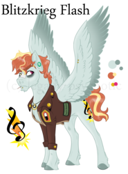 Size: 1504x2032 | Tagged: safe, artist:cranberry--zombie, oc, oc only, oc:blitzkrieg flash, pegasus, pony, clothes, cutie mark, jacket, magical lesbian spawn, male, offspring, parent:oc:stained glass, parent:rainbow dash, parents:canon x oc, reference sheet, simple background, solo, stallion, transparent background