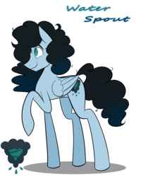 Size: 4000x5000 | Tagged: safe, artist:cosmicchrissy, oc, oc only, oc:water spout, pony, absurd resolution, male, raised hoof, simple background, solo, stallion, transparent background