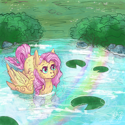 Size: 900x900 | Tagged: safe, artist:sun-shimmer, fluttershy, pony, g4, female, fluffy, lilypad, looking up, pegaduck, pond, rainbow, solo, water