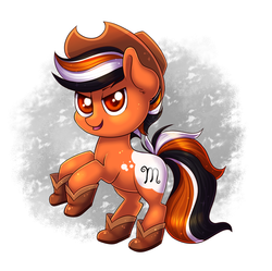 Size: 1621x1616 | Tagged: safe, artist:confetticakez, oc, oc only, earth pony, pony, boots, colored pupils, hat, solo