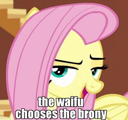 Size: 806x759 | Tagged: safe, edit, edited screencap, screencap, fluttershy, pony, dungeons and discords, g4, bedroom eyes, bronybait, cropped, cute, female, harry potter (series), image macro, lidded eyes, meme, shyabetes, solo, waifu