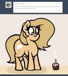 Size: 1280x1420 | Tagged: safe, artist:slavedemorto, oc, oc only, oc:backy, pony, animated, ask, birthday, candle, cupcake, food, gif, solo, tumblr, vibrating