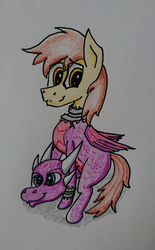 Size: 1872x3024 | Tagged: safe, artist:bumskuchen, oc, oc only, oc:ferb fletcher, pegasus, pony, clothes, cosplay, costume, cynder, request, requested art, solo, spyro the dragon (series), the legend of spyro, traditional art