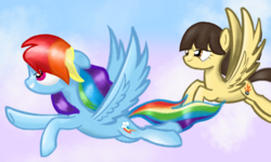 Size: 5000x3000 | Tagged: safe, artist:songbirdserenade, rainbow dash, wild fire, pony, g4, duo, flying, grin, high res, sky, smiling