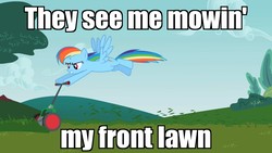 Size: 1280x720 | Tagged: safe, edit, edited screencap, screencap, rainbow dash, pony, g4, the mysterious mare do well, female, flying, grass, image macro, lawn mower, meme, solo, song reference, weird al yankovic, white and nerdy