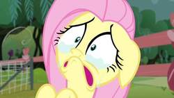 Size: 720x405 | Tagged: safe, screencap, fluttershy, pony, filli vanilli, g4, crying, female, mare, sad, solo