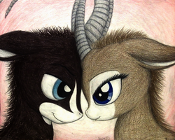 Size: 1340x1072 | Tagged: safe, artist:thefriendlyelephant, oc, oc only, oc:sabe, oc:uganda, antelope, giant sable antelope, animal in mlp form, cute, duo, face to face, horns, lidded eyes, love, traditional art, valentine's day
