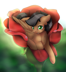Size: 1024x1113 | Tagged: safe, artist:csox, oc, oc only, oc:artsong, pegasus, pony, flower, micro, rose, solo