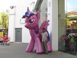 Size: 1280x960 | Tagged: safe, twilight sparkle, alicorn, human, inflatable pony, g4, female, inflatable, inflatable alicorn, irl, irl human, male, mexico, opaque inflatable, outdoors, photo, rainbow power, shop window, standing, twilight sparkle (alicorn)