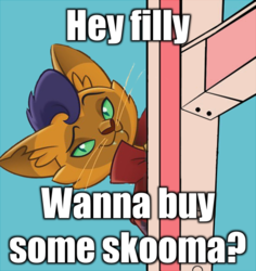 Size: 540x573 | Tagged: safe, capper dapperpaws, abyssinian, cat, khajiit, anthro, g4, my little pony: the movie, bad day at cat rock, blue background, caption, drug dealer, drugs, image macro, implied drug use, implied drugs, male, meme, simple background, skooma, skyrim, solo, text, that fucking cat, the elder scrolls, tom and jerry, wat