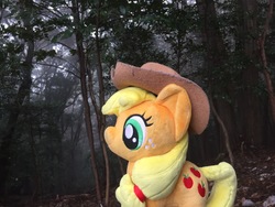Size: 3264x2448 | Tagged: safe, artist:setorin5, applejack, earth pony, pony, g4, 4de, forest, high res, irl, japan, photo, plushie, ponies around the world, solo