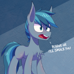 Size: 1000x1000 | Tagged: safe, artist:malphee, oc, oc only, earth pony, pony, chest fluff, male, solo, stallion