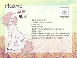 Size: 2000x1500 | Tagged: safe, artist:liefsong, oc, oc only, oc:melanie, pony, reference sheet, sicksona, solo