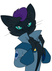 Size: 1600x2202 | Tagged: safe, edit, capper dapperpaws, oc, oc:nyx, abyssinian, cat, anthro, g4, my little pony: the movie, abyssinianized, catified, clothes, cutie mark, male, palette swap, recolor, simple background, solo, species swap, transparent background
