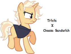 Size: 600x457 | Tagged: safe, artist:yaco, oc, oc only, pony, offspring, parent:cheese sandwich, parent:trixie, parents:cheesixie, simple background, solo, white background