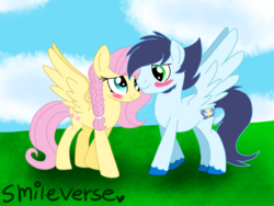 Size: 2400x1800 | Tagged: safe, artist:smileverse, fluttershy, soarin', pegasus, pony, g4, blushing, braid, eye contact, female, garden, looking at each other, male, shipping, soarinshy, spread wings, straight