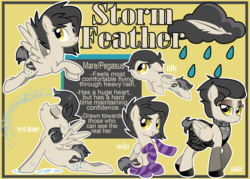 Size: 1867x1339 | Tagged: safe, artist:lostinthetrees, oc, oc only, oc:storm feather, pegasus, pony, clothes, dress, female, filly, gala dress, mare, reference sheet, socks, solo, striped socks, wet mane, younger