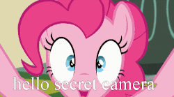 Size: 500x277 | Tagged: safe, edit, edited screencap, screencap, pinkie pie, earth pony, pony, g4, make new friends but keep discord, season 5, animated, close-up, dick grayson, discovery family logo, excited, female, fourth wall, fourth wall destruction, gif, he wants all of the cakes, image macro, lego, looking at you, loop, meme, open mouth, screen shake, shaking, smiling, solo, the lego batman movie