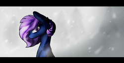 Size: 4900x2500 | Tagged: safe, artist:isorrayi, oc, oc only, earth pony, pony, bust, female, high res, mare, portrait, snow, solo