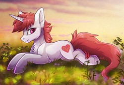 Size: 1280x886 | Tagged: safe, artist:ketty, oc, oc only, pony, unicorn, chest fluff, cute, looking at you, male, medic, solo, stallion