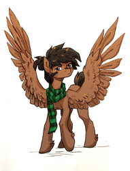 Size: 1050x1372 | Tagged: safe, artist:koviry, oc, oc only, pegasus, pony, clothes, female, looking at you, mare, scarf, simple background, solo, spread wings, unshorn fetlocks, white background