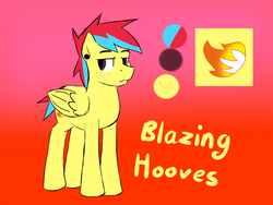 Size: 1600x1200 | Tagged: safe, artist:timidwithapen, oc, oc only, oc:blazing hooves, pegasus, pony, reference sheet, solo