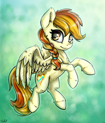Size: 2586x3042 | Tagged: safe, artist:gaelledragons, oc, oc only, oc:little flame, pegasus, pony, braid, female, fluffy, flying, high res, looking at you, mare, signature, solo, spread wings, unshorn fetlocks, wing fluff