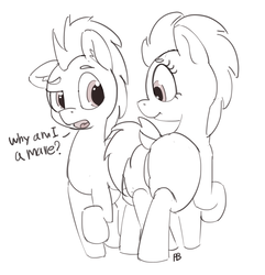 Size: 1280x1326 | Tagged: dead source, safe, artist:pabbley, doctor whooves, time turner, earth pony, pony, g4, butt, dialogue, dock, featureless crotch, grayscale, hilarious in hindsight, monochrome, plot, raised eyebrow, rule 63, self ponidox, simple background, the doctoress, white background