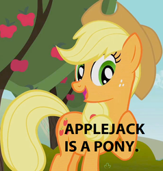 Size: 683x717 | Tagged: safe, applejack, earth pony, pony, g4, captain obvious, female, headcanon, image macro, mare, meme, open mouth, raised hoof, smiling, solo