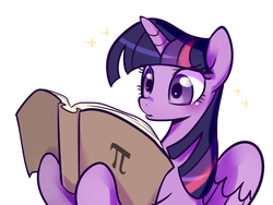 Size: 1400x1050 | Tagged: safe, artist:haden-2375, twilight sparkle, alicorn, pony, g4, book, bookhorse, female, pi, simple background, solo, that pony sure does love books, twilight sparkle (alicorn), white background