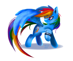 Size: 768x644 | Tagged: safe, artist:chinion-tam, rainbow dash, pony, g4, female, simple background, solo, spread wings, transparent background, wristband