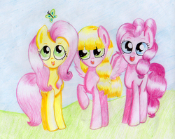 Size: 1273x1006 | Tagged: dead source, safe, artist:songbirdserenade, fluttershy, pinkie pie, oc, butterfly, earth pony, pegasus, pony, g4, andrea libman, colored pencil drawing, female, mare, ponified, ponysona, traditional art, trio