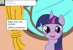 Size: 1280x882 | Tagged: safe, artist:cybersquirrel, twilight sparkle, pony, g4, ask, female, solo, tumblr